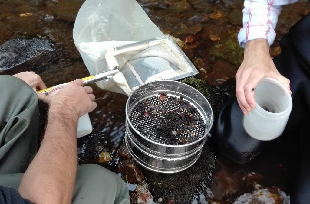 Seguiment ambiental enderroc “Os Airios” As Pontes