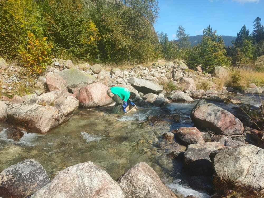 Eccus Seguimiento ambiental en el vaciado del embalse