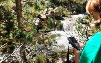 Plan de vaciado y seguimiento ambiental del embalse de Restanca